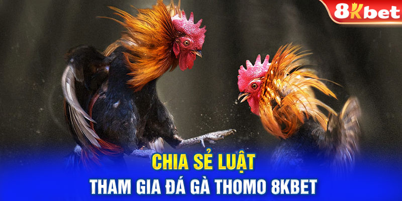 Chia sẻ luật tham gia đá gà Thomo 8KBET